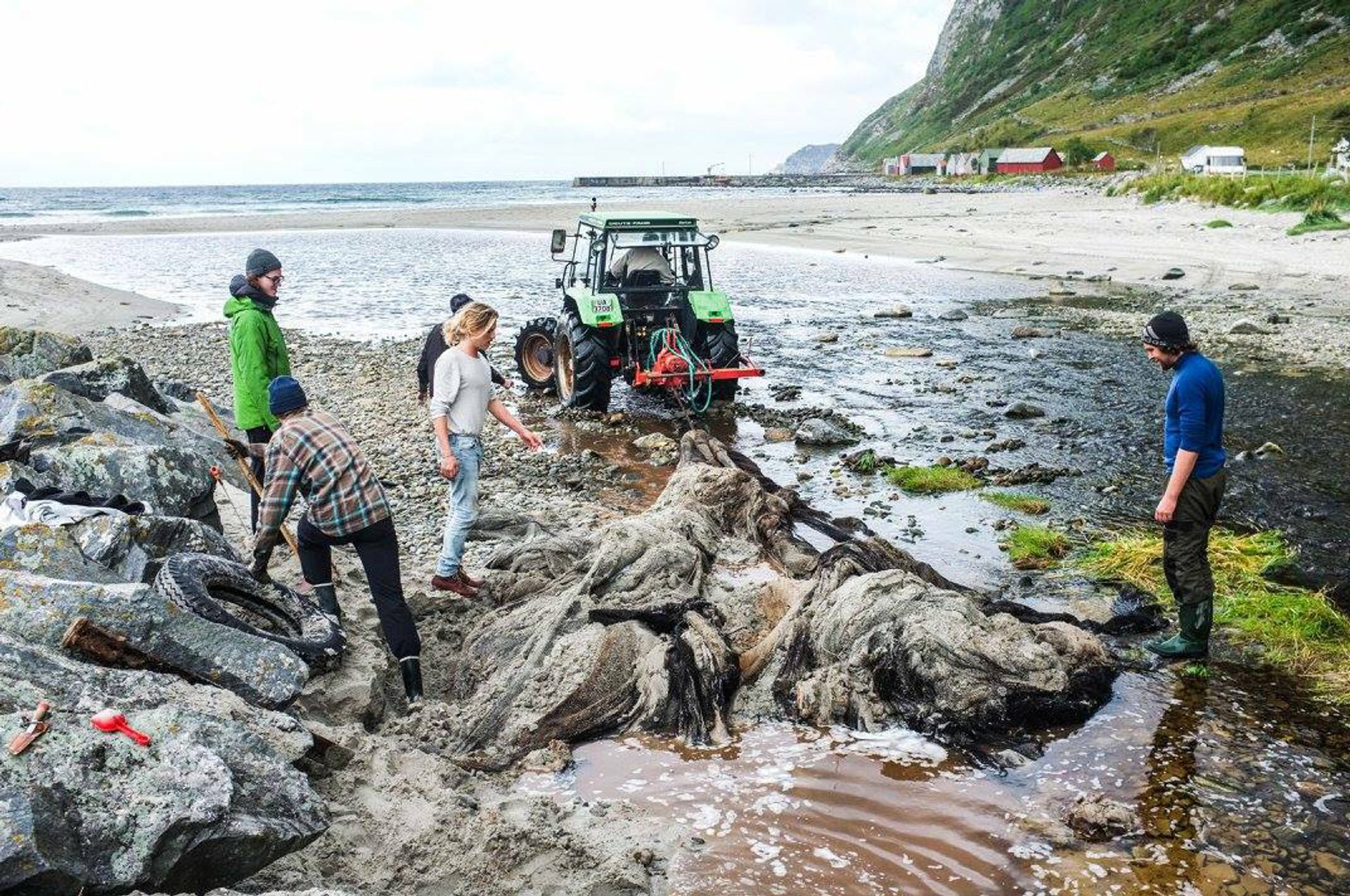 13502789 1095883913817591 7928489639654553623 o