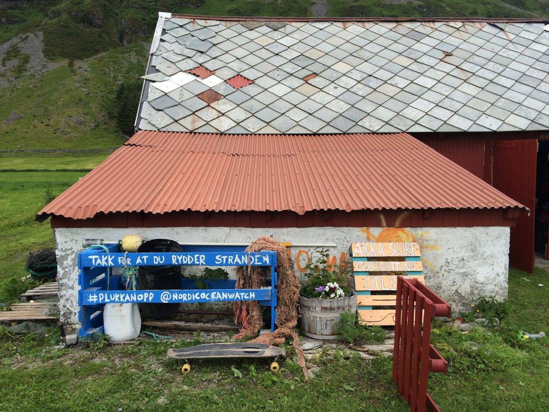 13575812 1096563967082919 5128381360467283594 o