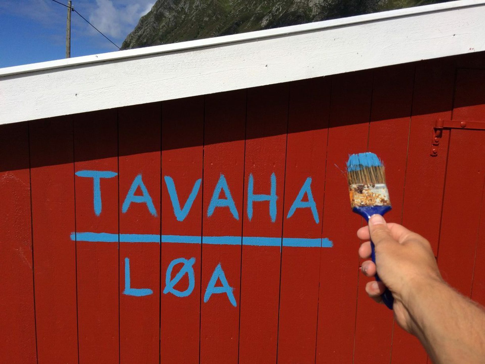 13767386 1119334841472498 3837490295276869930 o