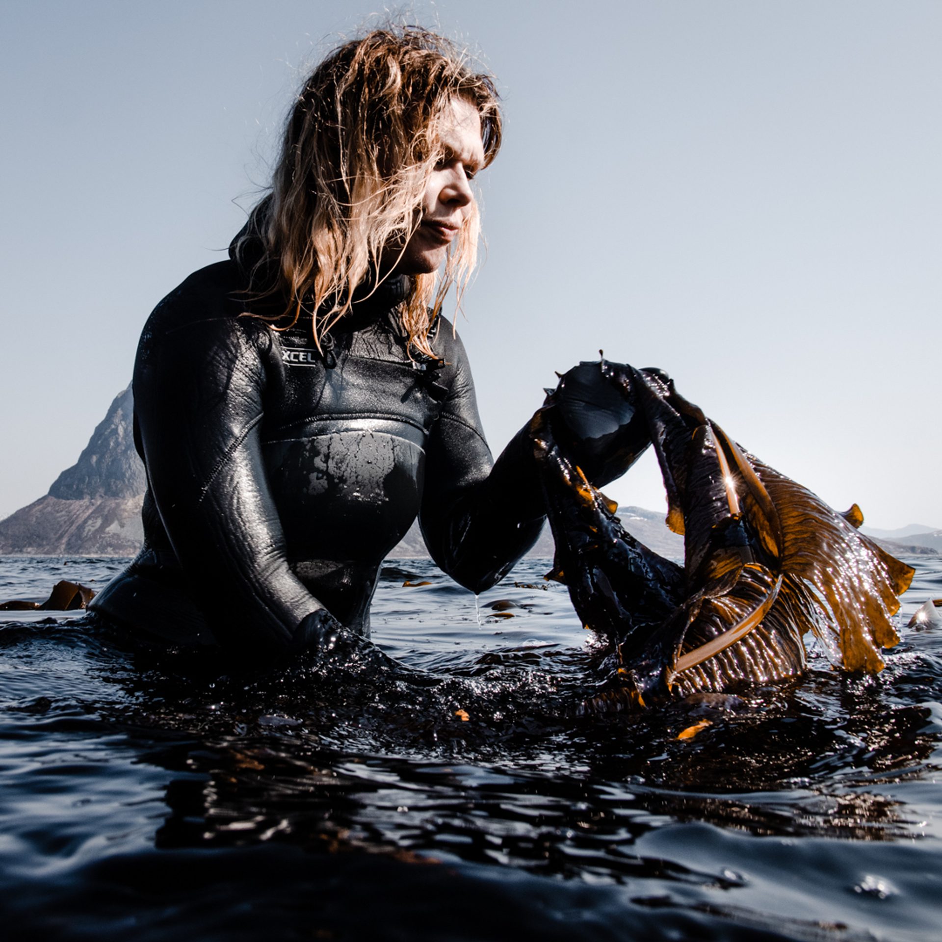 Pete Veale Lofoten Seaweed 5