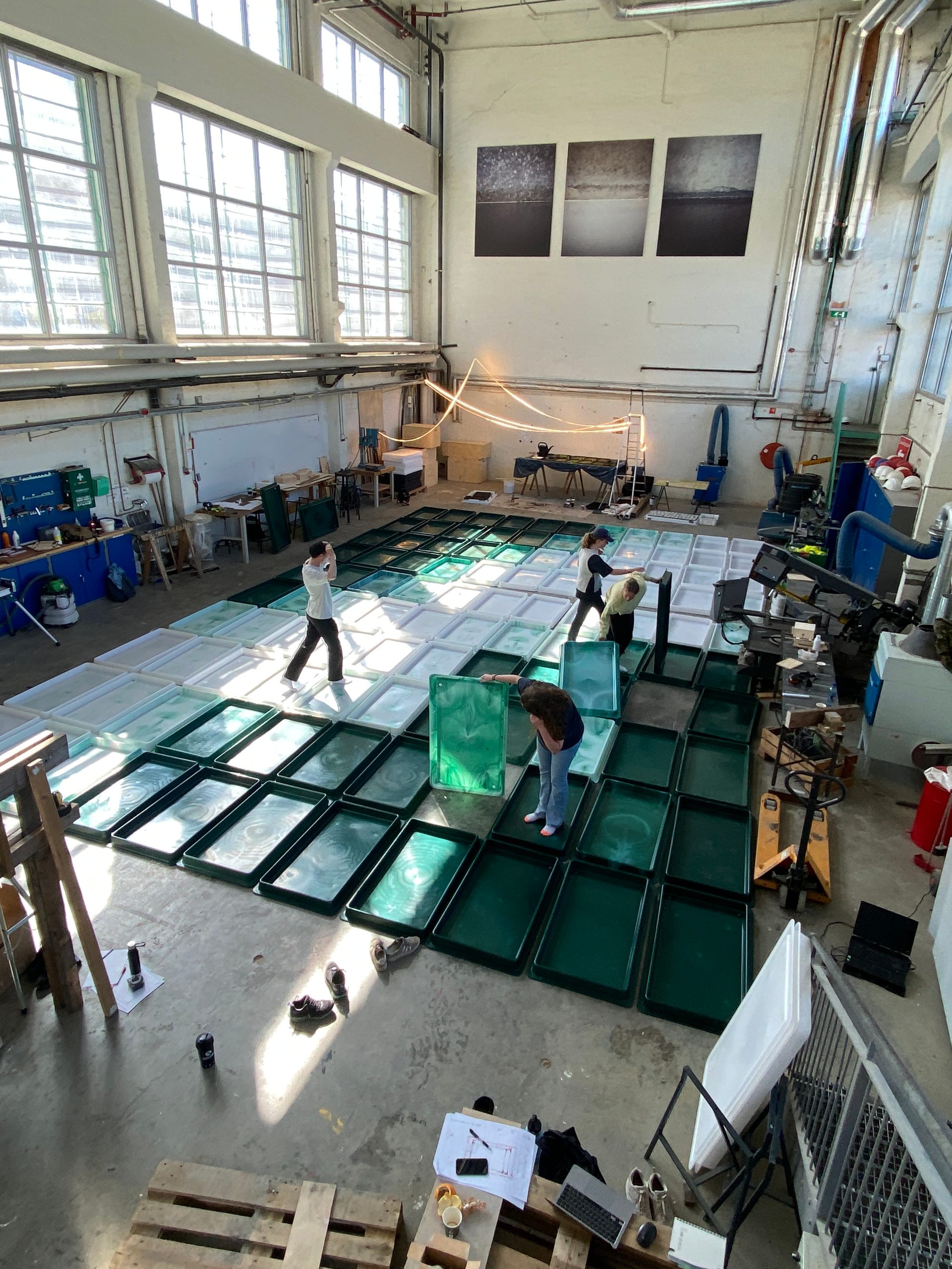 Plater Foto Tine Hegli