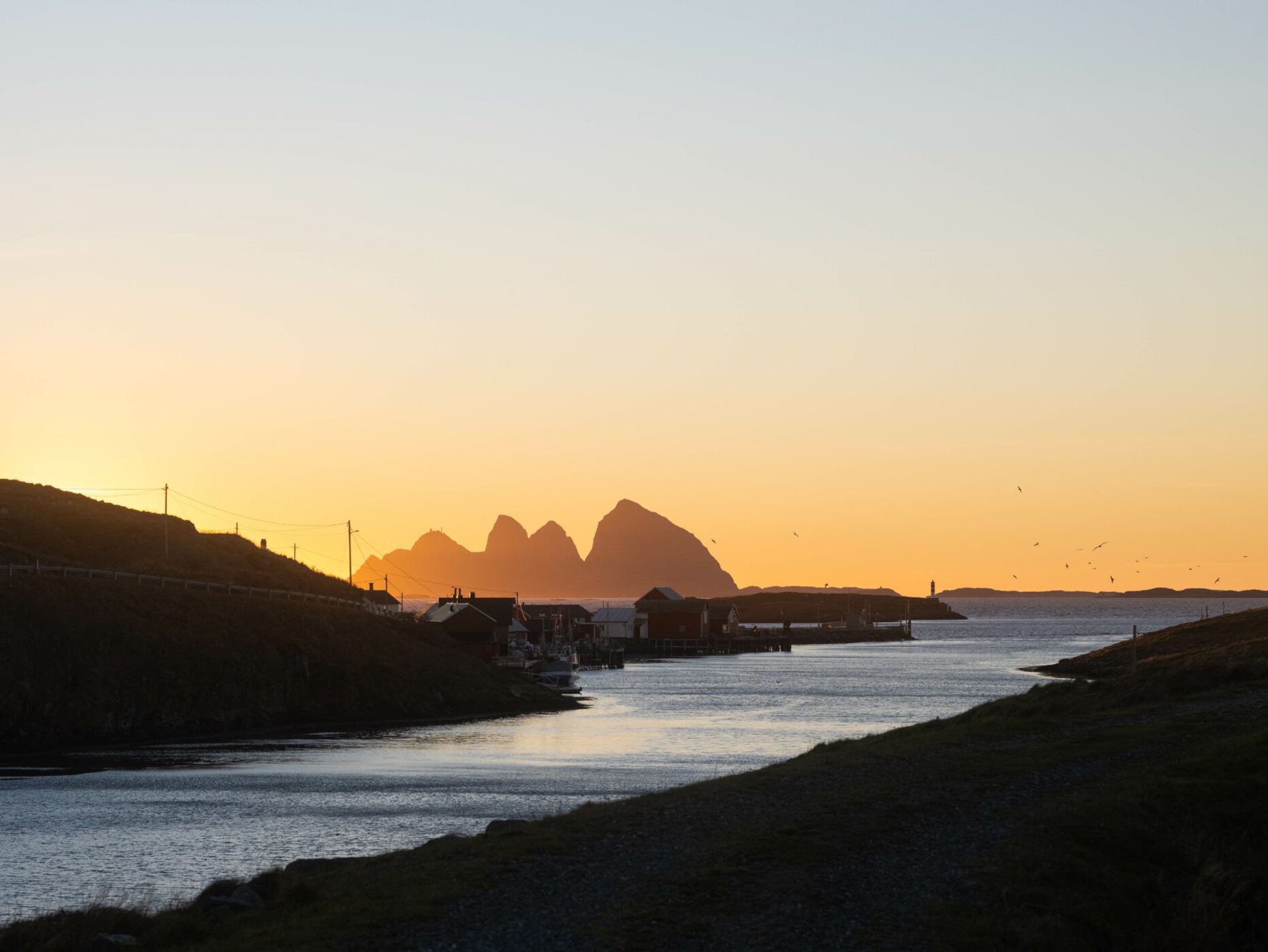 Selvær fuji 42