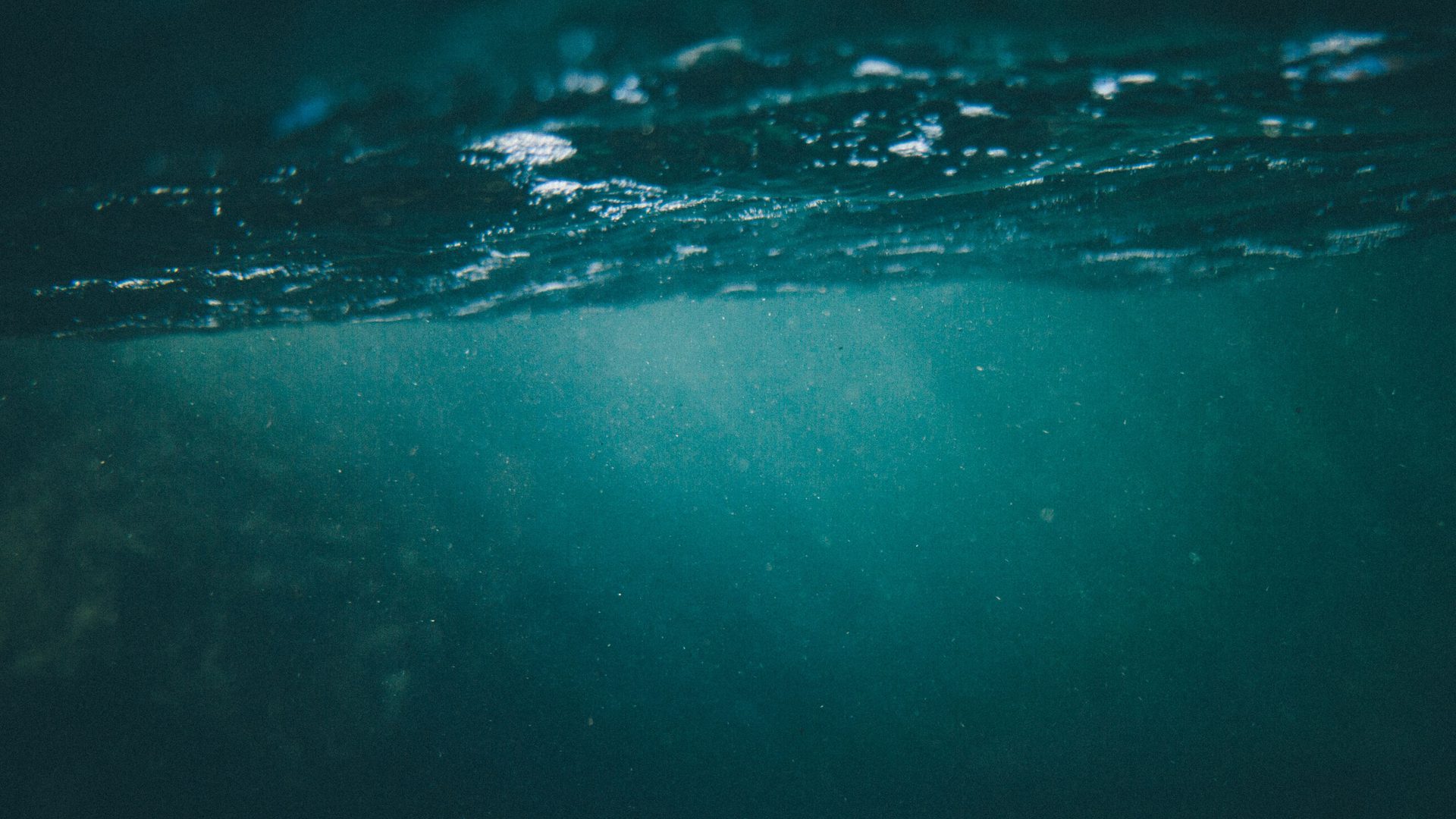 Tim marshall i BY2 X Cg Pw DA unsplash